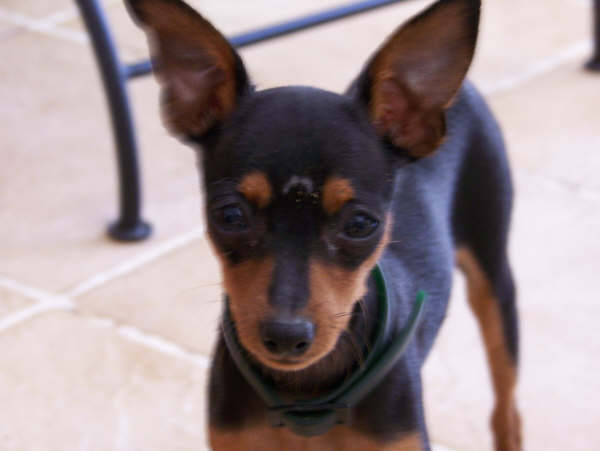 Tobi 1 rok
